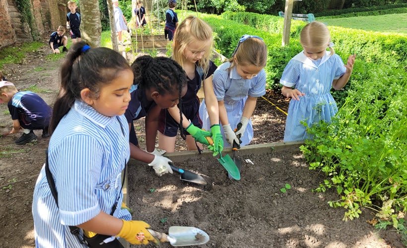 Year 2 Outdoor Learning