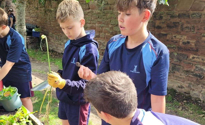 Year 6 Outdoor Learning